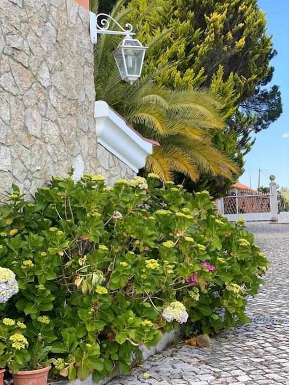 Quinta Do Alto Dos Pinheiros Villa Sao Joao da Ribeira Luaran gambar