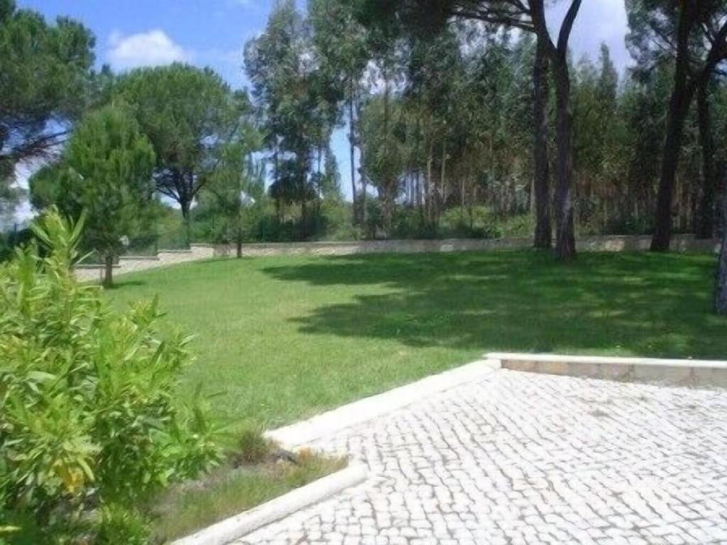 Quinta Do Alto Dos Pinheiros Villa Sao Joao da Ribeira Luaran gambar