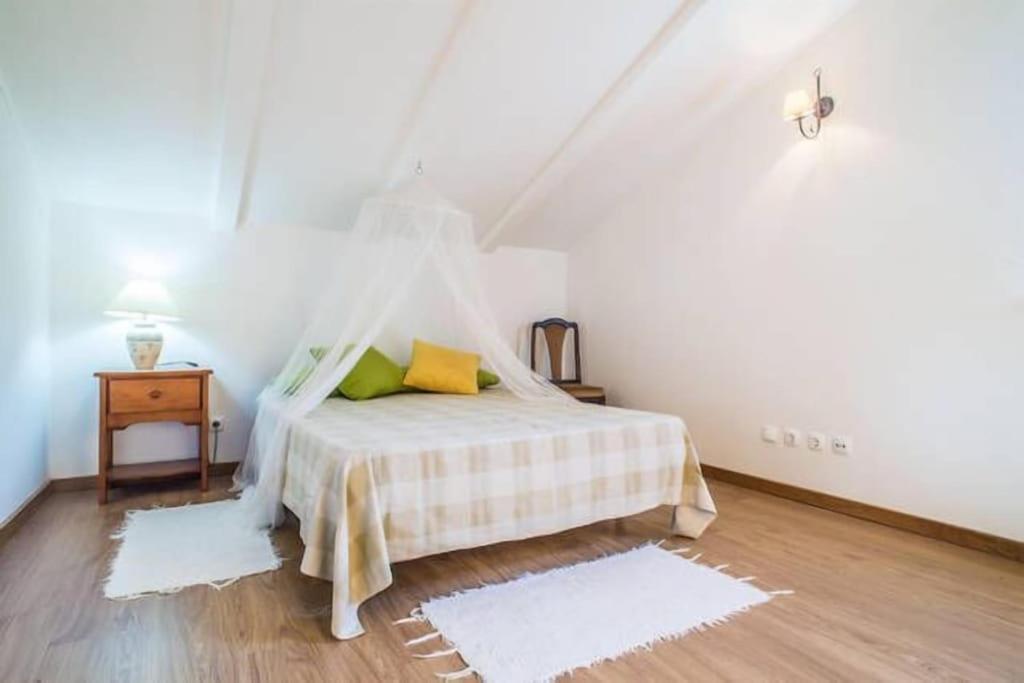 Quinta Do Alto Dos Pinheiros Villa Sao Joao da Ribeira Luaran gambar