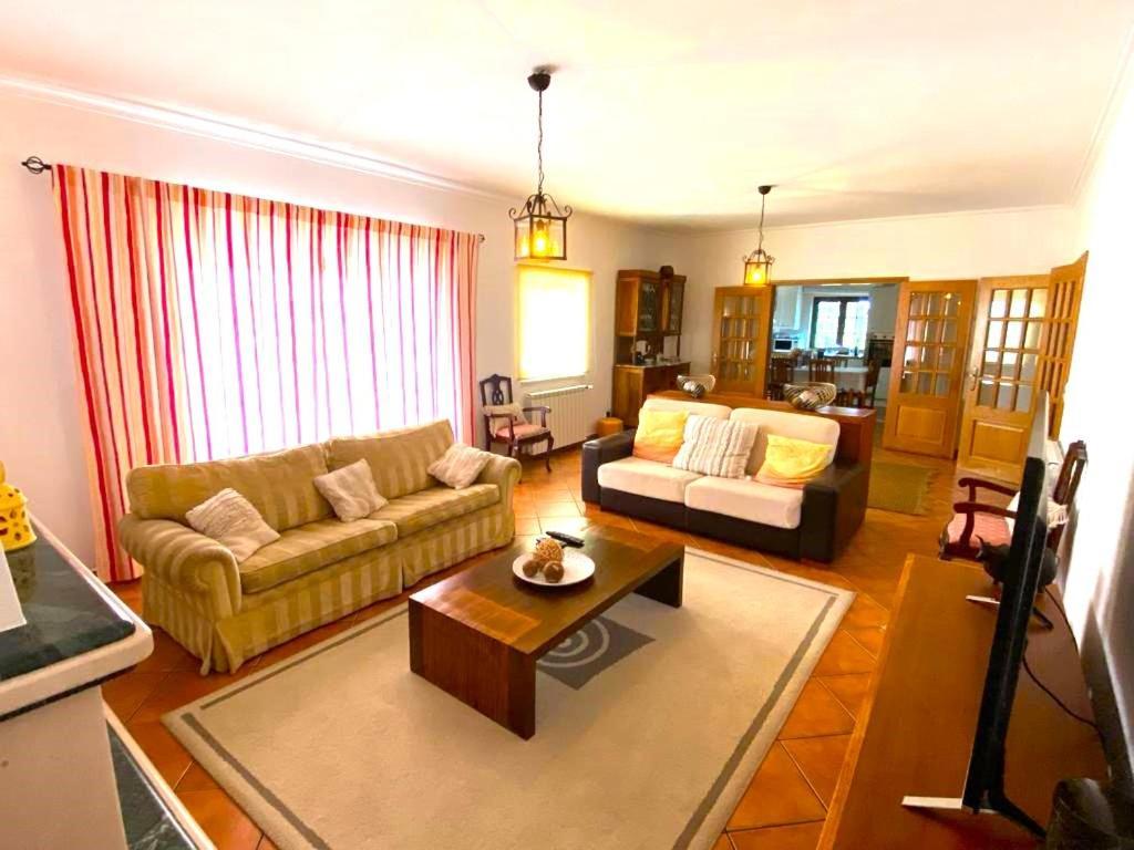 Quinta Do Alto Dos Pinheiros Villa Sao Joao da Ribeira Luaran gambar